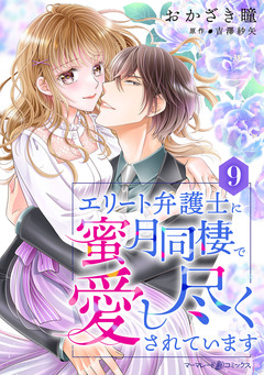 エリート弁護士に蜜月同棲で愛し尽くされています【分冊版】 9巻