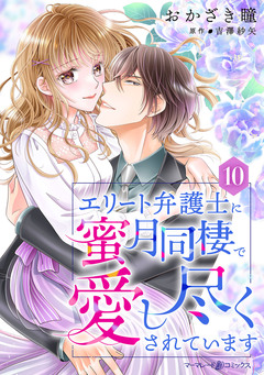 エリート弁護士に蜜月同棲で愛し尽くされています【分冊版】 10巻