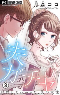 夫ガチャ～結婚してわかった、夫の本性～【マイクロ】 3巻
