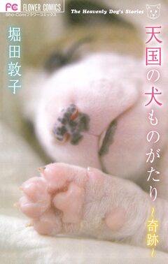 天国の犬ものがたり~奇跡~ 1巻