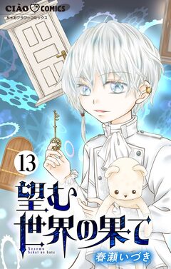 望む世界の果て【マイクロ】 13巻