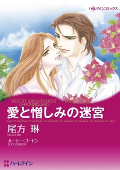 愛と憎しみの迷宮【新装版】 1巻