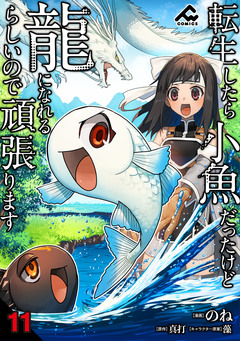 【分冊版】転生したら小魚だったけど龍になれるらしいので頑張ります 11巻