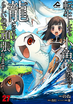 【分冊版】転生したら小魚だったけど龍になれるらしいので頑張ります 27巻