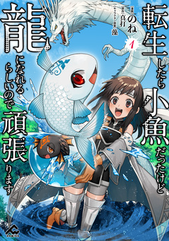 転生したら小魚だったけど龍になれるらしいので頑張ります 1巻