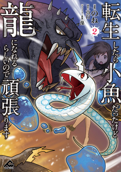転生したら小魚だったけど龍になれるらしいので頑張ります 2巻