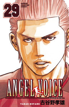 ANGEL VOICE 29巻