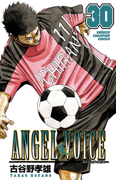 ANGEL VOICE 30巻