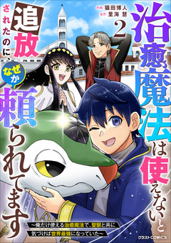 治癒魔法は使えないと追放されたのに、なぜか頼られてます～俺だけ使える治癒魔法で、聖獣と共に気づけば世界最強になっていた～ 2巻