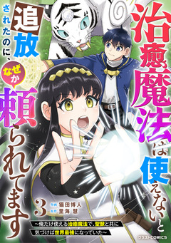 治癒魔法は使えないと追放されたのに、なぜか頼られてます～俺だけ使える治癒魔法で、聖獣と共に気づけば世界最強になっていた～ 3巻