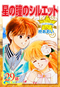星の瞳のシルエット 29巻