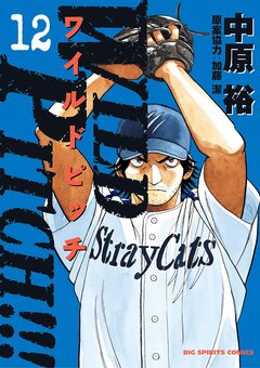 WILD PITCH!!! 12巻