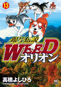 銀牙伝説WEEDオリオン 13巻
