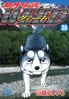 銀牙伝説ウィード 38巻