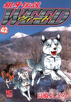 銀牙伝説ウィード 42巻