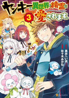 ヤンキーは異世界で精霊に愛されます。 3巻