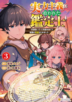 実力主義に拾われた鑑定士 ～奴隷扱いだった母国を捨てて、敵国の英雄はじめました～ 3巻