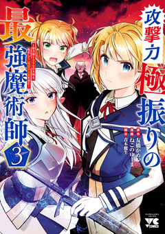 攻撃力極振りの最強魔術師～筋力値9999の大剣士、転生して二度目の人生を歩む～ 3巻