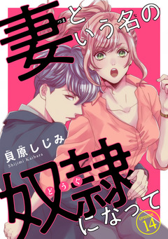 妻という名の奴隷(どうぐ)になって(話売り) 14巻