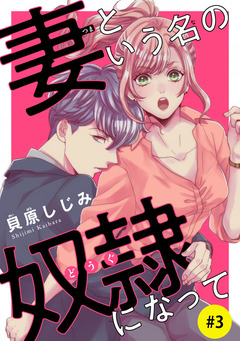 妻という名の奴隷(どうぐ)になって(話売り) 3巻