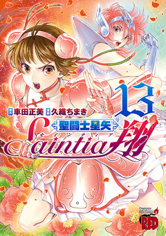 聖闘士星矢セインティア翔 13巻