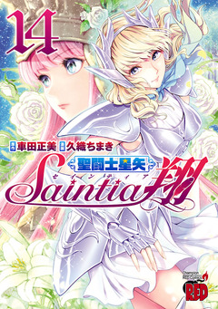 聖闘士星矢セインティア翔 14巻