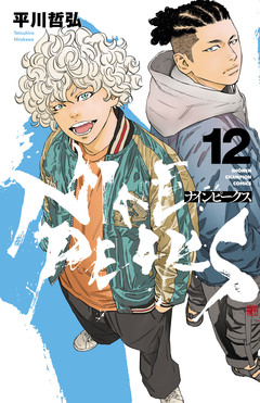 ナインピークス NINE PEAKS 12巻