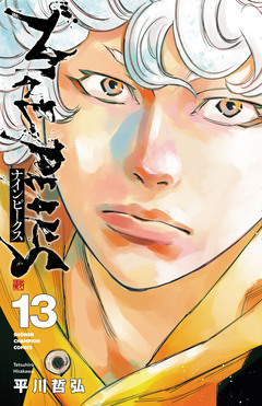 ナインピークス NINE PEAKS 13巻