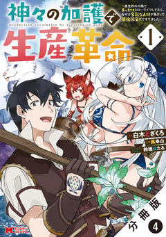 神々の加護で生産革命～異世界の片隅でまったりスローライフしてたら、なぜか多彩な人材が集まって最強国家ができてました～(コミック) 分冊版 4巻