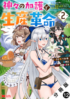 神々の加護で生産革命～異世界の片隅でまったりスローライフしてたら、なぜか多彩な人材が集まって最強国家ができてました～(コミック) 分冊版 12巻