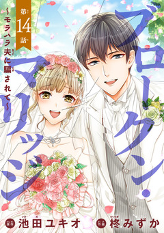 ブロークン・マリッジ ～モラハラ夫に騙されて～(話売り) 14巻