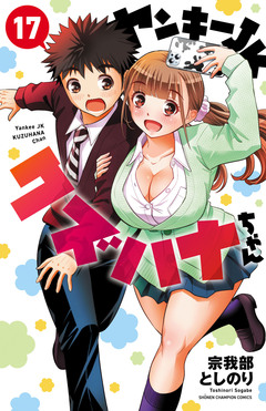 ヤンキーJKクズハナちゃん 17巻
