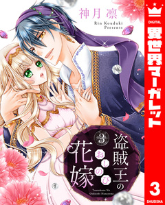 盗賊王のおしのび花嫁 3巻