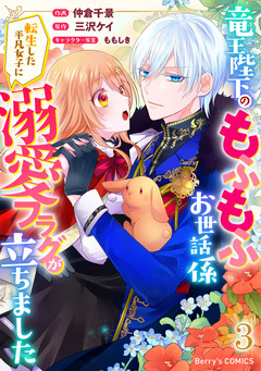 竜王陛下のもふもふお世話係～転生した平凡女子に溺愛フラグが立ちました～ 3巻