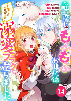 Berry’sFantasy竜王陛下のもふもふお世話係～転生した平凡女子に溺愛フラグが立ちました～ 14巻