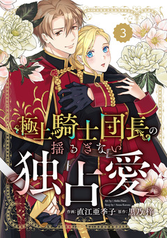 Berry’sFantasy極上騎士団長の揺るぎない独占愛 3巻