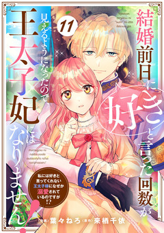 Berry’sFantasy結婚前日に「好き」と言った回数が見えるようになったので、王太子妃にはなりません!~私には好きと言ってくれない王太子様になぜか溺愛されているのですが!?~ 11巻