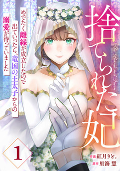 Berry’sFantasy捨てられた妃 めでたく離縁が成立したので出ていったら、竜国の王太子からの溺愛が待っていました 1巻