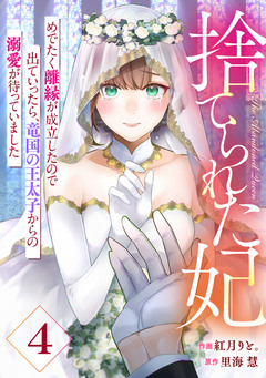 Berry’sFantasy捨てられた妃 めでたく離縁が成立したので出ていったら、竜国の王太子からの溺愛が待っていました 4巻