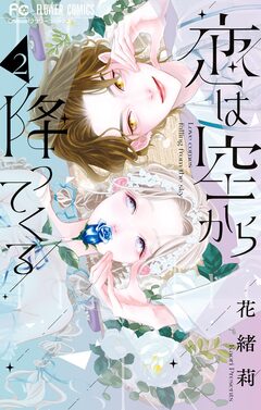 恋は空から降ってくる 2巻