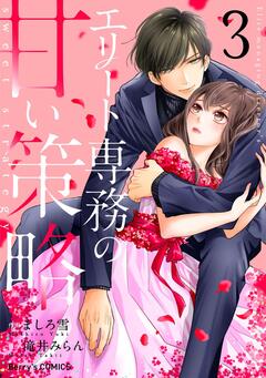 エリート専務の甘い策略 3巻