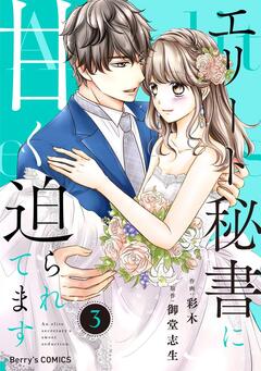エリート秘書に甘く迫られてます 3巻