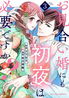 お見合い婚にも初夜は必要ですか? 3巻