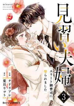 見習い夫婦～エリート御曹司に娶られました～ 3巻