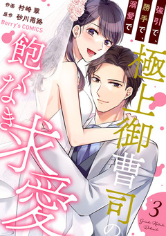 強引で、勝手で、溺愛で～極上御曹司の飽くなき求愛～ 3巻