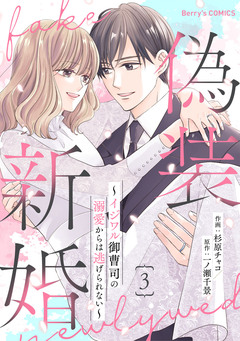 偽装新婚～イジワル御曹司の溺愛からは逃げられない～ 3巻
