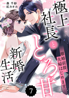 comic Berry’s離婚前提、夫婦はじめます~極上社長ととろ甘新婚生活~ 7巻