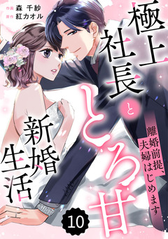 comic Berry’s離婚前提、夫婦はじめます~極上社長ととろ甘新婚生活~ 10巻