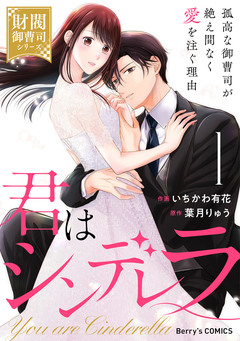 君はシンデレラ～孤高な御曹司が絶え間なく愛を注ぐ理由～ 1巻