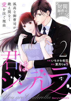 君はシンデレラ～孤高な御曹司が絶え間なく愛を注ぐ理由～ 2巻